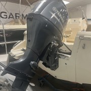 Scout 195 Sport Dorado - White